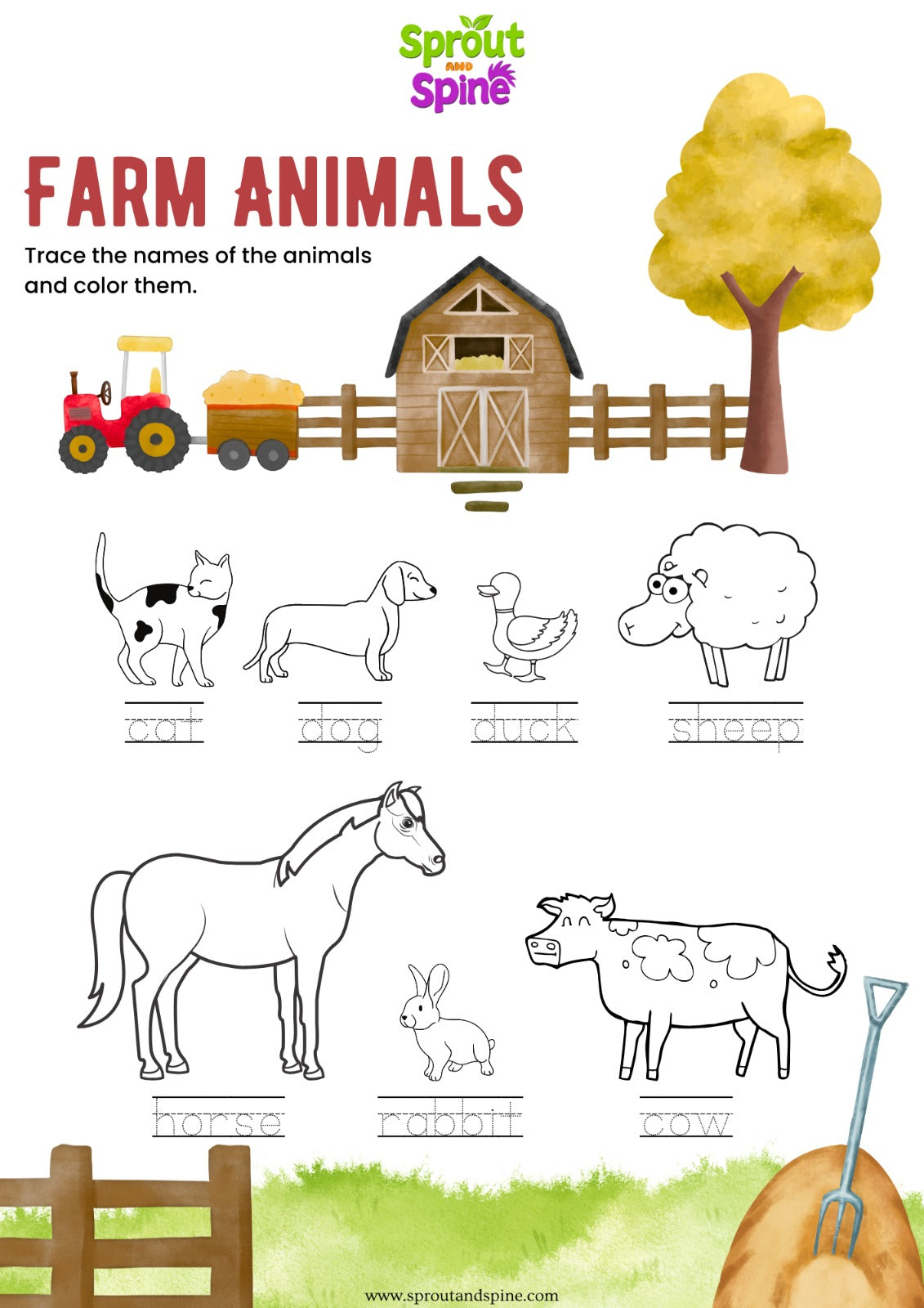 Activity Sheets (Digital Pack)