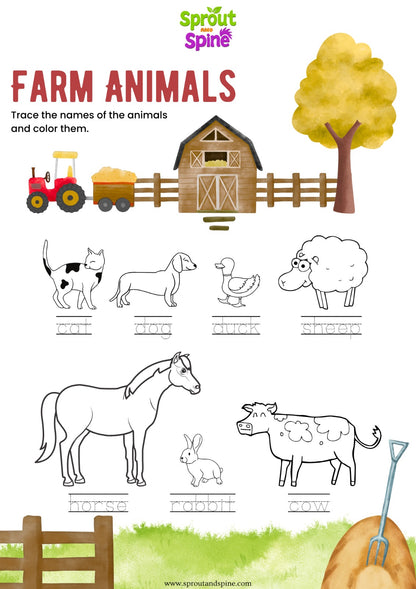 Activity Sheets (Digital Pack)
